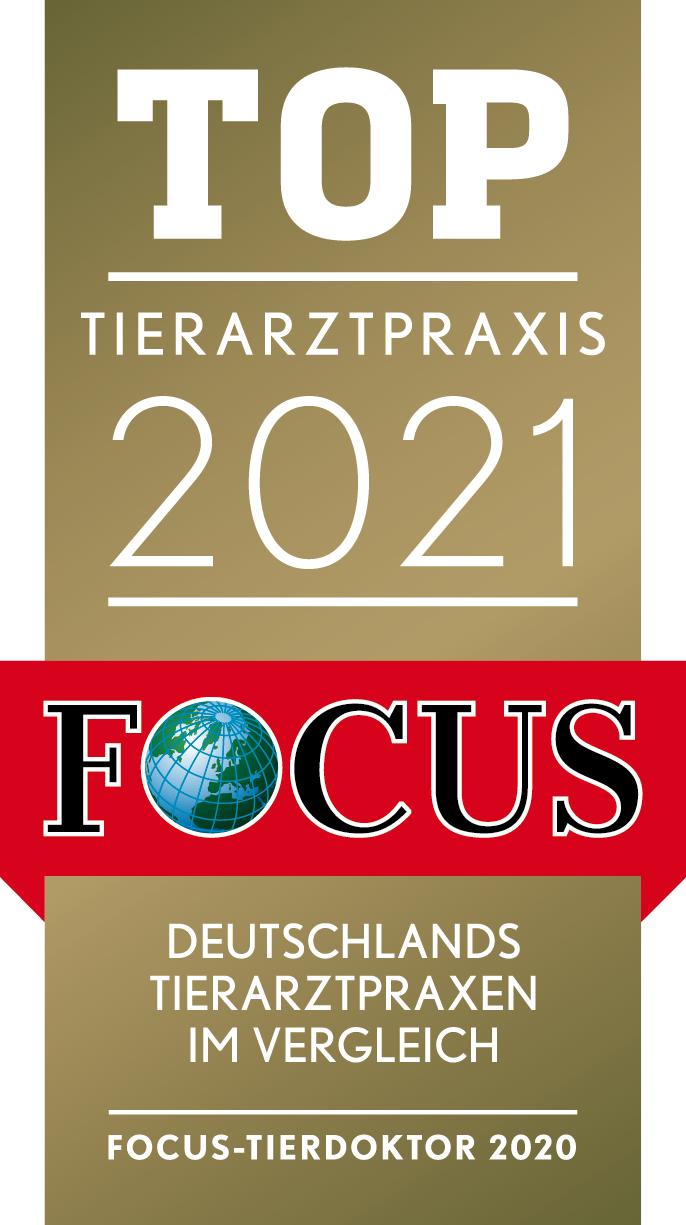 Focus Top Tierarztpraxis 2021 Siegel